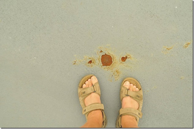 BC Ferries,Queen of Burnaby,rust,ferry replacement,Intermediate Class ferry BC Ferries,Queen of Burnaby,rust,ferry replacement,Intermediate Class ferry