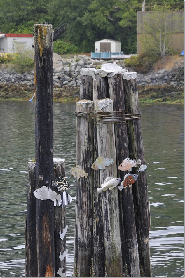 Bamfield ,nature,paintd fish,fish on pilings,global warming Bamfield ,nature,paintd fish,fish on pilings,global warming