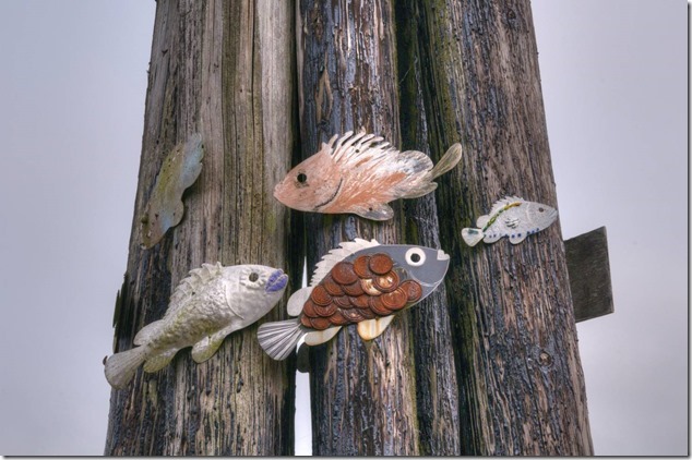 Bamfield ,nature,paintd fish,fish on pilings,global warming Bamfield ,nature,paintd fish,fish on pilings,global warming