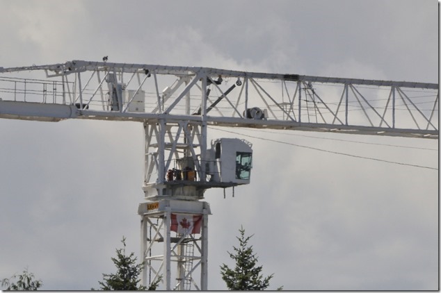 Comox Valley Hospital,tower crane,construction site