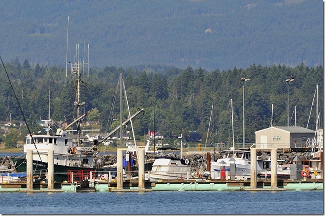 Comox Marina,long lens