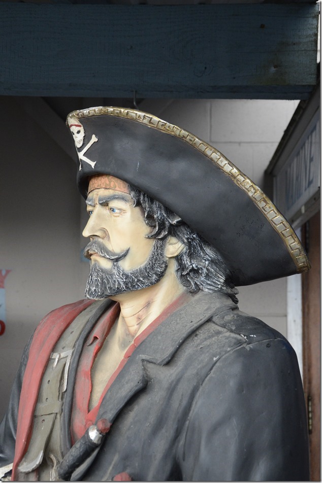 Nanaimo harbour,artistry,pirates