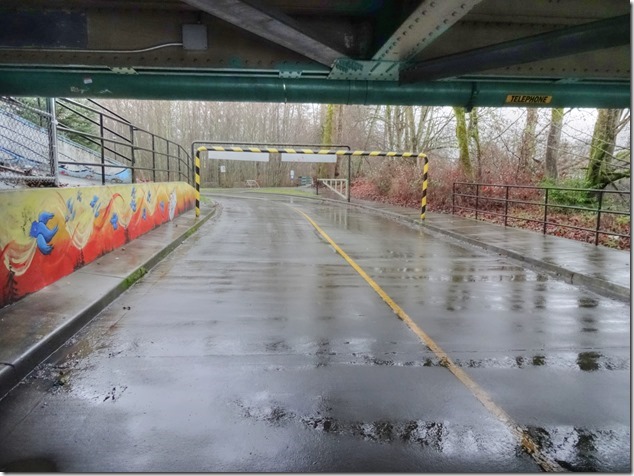 Courtenay,Courtenay River,Simms Park,Lewis Park,rain,Comox Valley,artistry