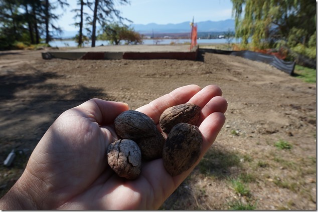 Baybrook,Mack Laing,Comox,history