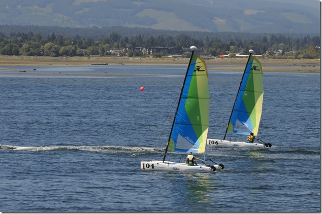 Catamaran,Comox,sailing