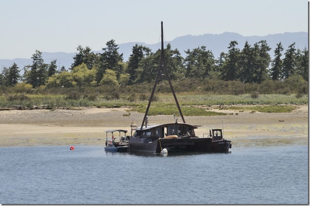 Goose Spit,sailing,ships,Comox