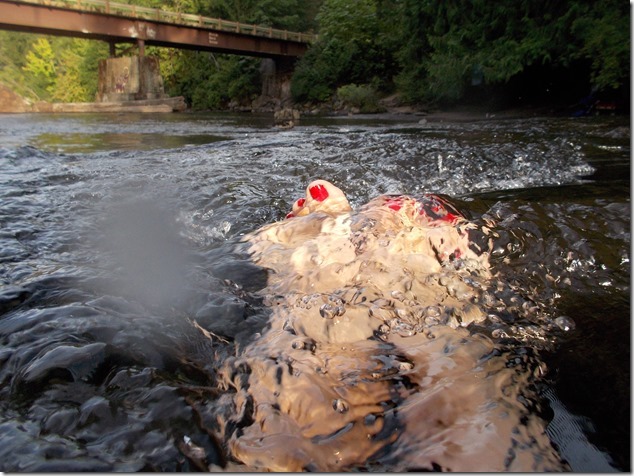 Stotan Falls,Puntledge Recreation Area,water fall,pot holes