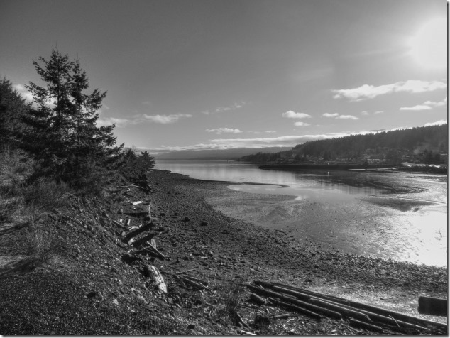 Union Bay,Baynes Sound,Highway 19 A,panorama,coal,coke ovens.