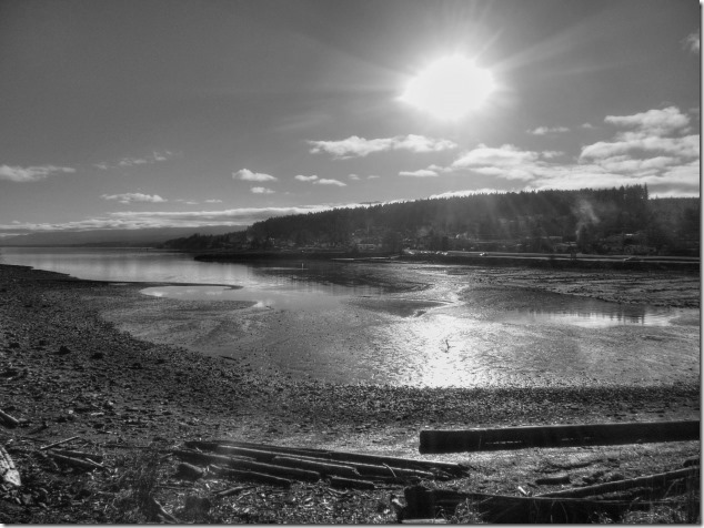 Union Bay,Baynes Sound,Highway 19 A,panorama,coal,coke ovens.