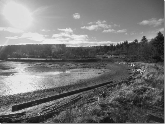 Union Bay,Baynes Sound,Highway 19 A,panorama,coal,coke ovens.