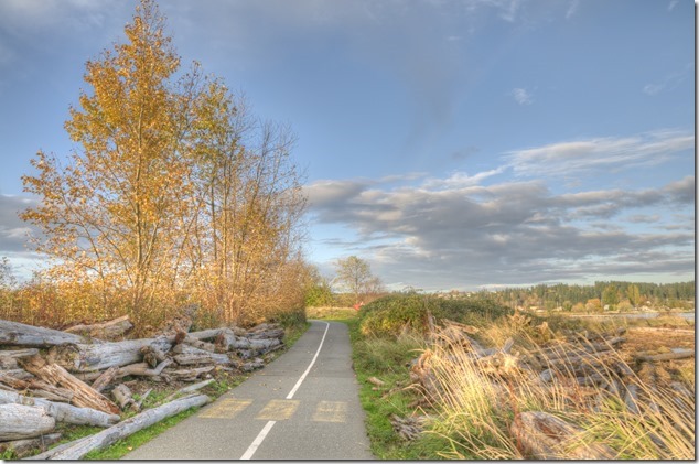 Courtenay,Courtenay Riverway Heritage Walk,nature,Comox Estuary