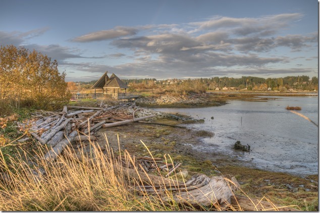 Courtenay,Courtenay Riverway Heritage Walk,nature,Comox Estuary