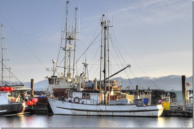 Comox Marina,fish boat,ships,marina,Comox Harbour,Conquest