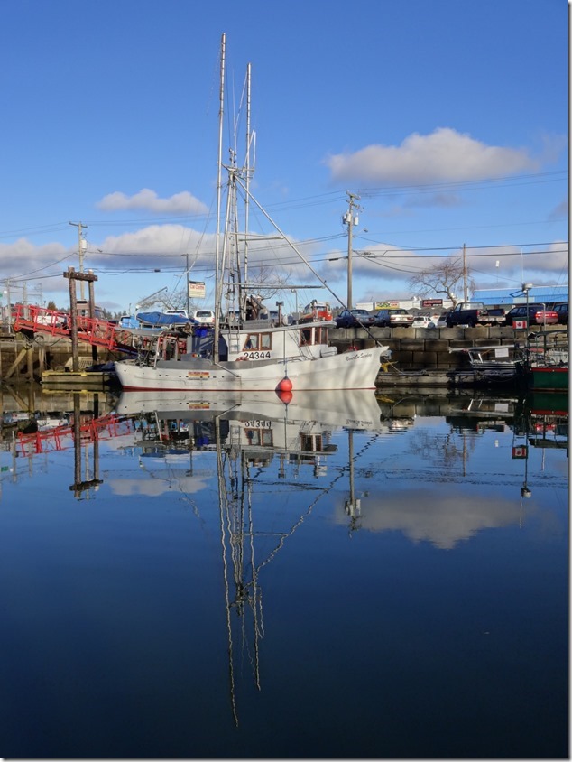 Courtenay River Slough,marina,fish boats,Courtenay