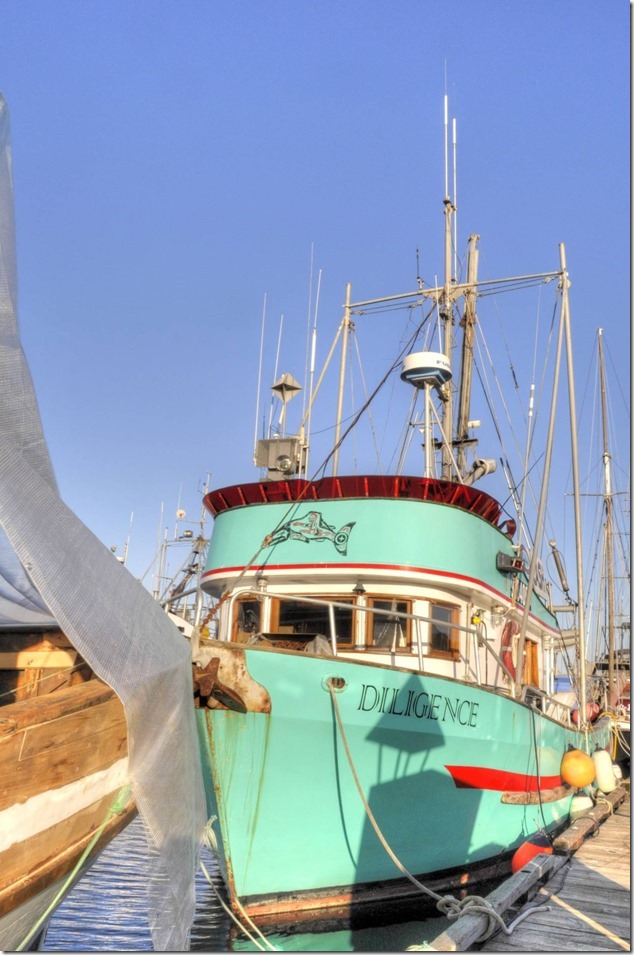 Comox Marina,fish boat,ships,marina,Comox Harbour,Diligence