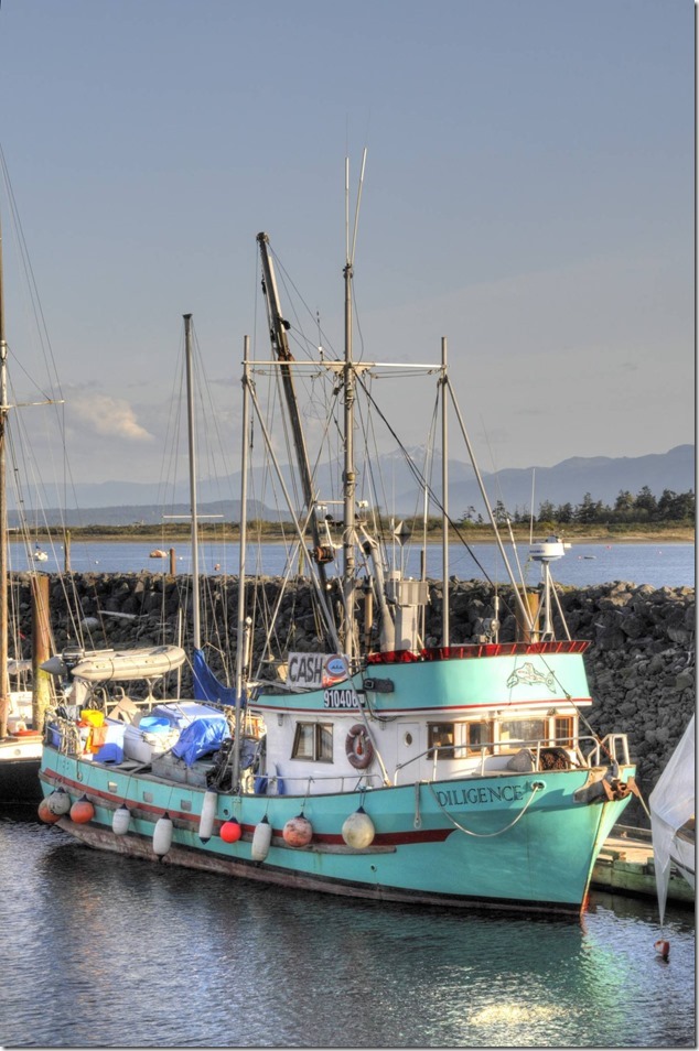 Comox Marina,fish boat,ships,marina,Comox Harbour,Diligence