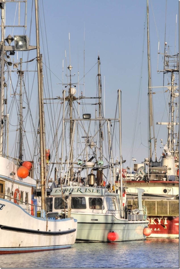 Comox Marina,fish boat,ships,marina,Comox Harbour,Esther Isle at Comox Marina