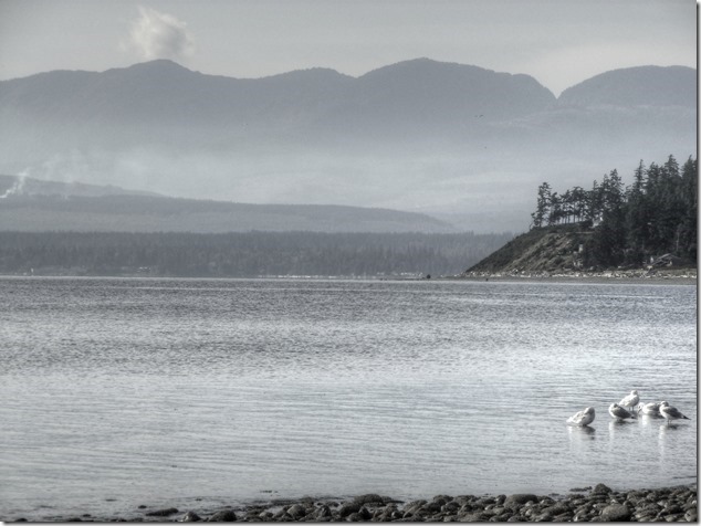 Point Holmes,Comox,Salish Sea,ocean,beach
