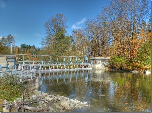 Campbell River,Quinsam Hatchery,Salmon