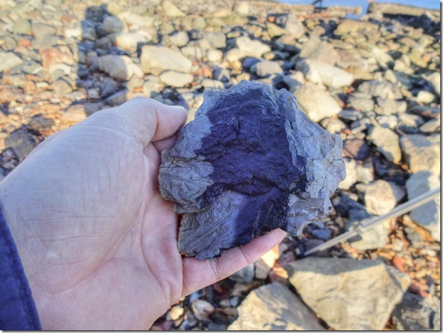 Union Bay,Baynes Sound,Georgia Strait,Highway 19,coal,history