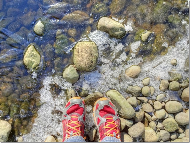 winter,snow,ice,Miracle Beach Provincial Park,Oyster River