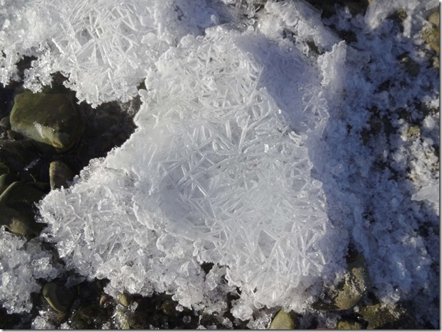 winter,snow,ice,Miracle Beach Provincial Park,Oyster River