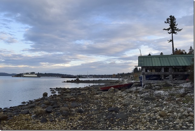 Fanny Bay,Baynes Sound,Georgia Strait,Highway 19,oysters