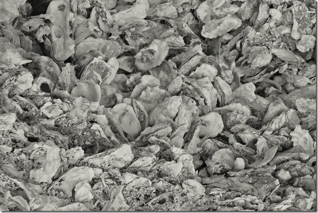 Fanny  Bay,Baynes Sound,Georgia Strait,Highway 19,oysters