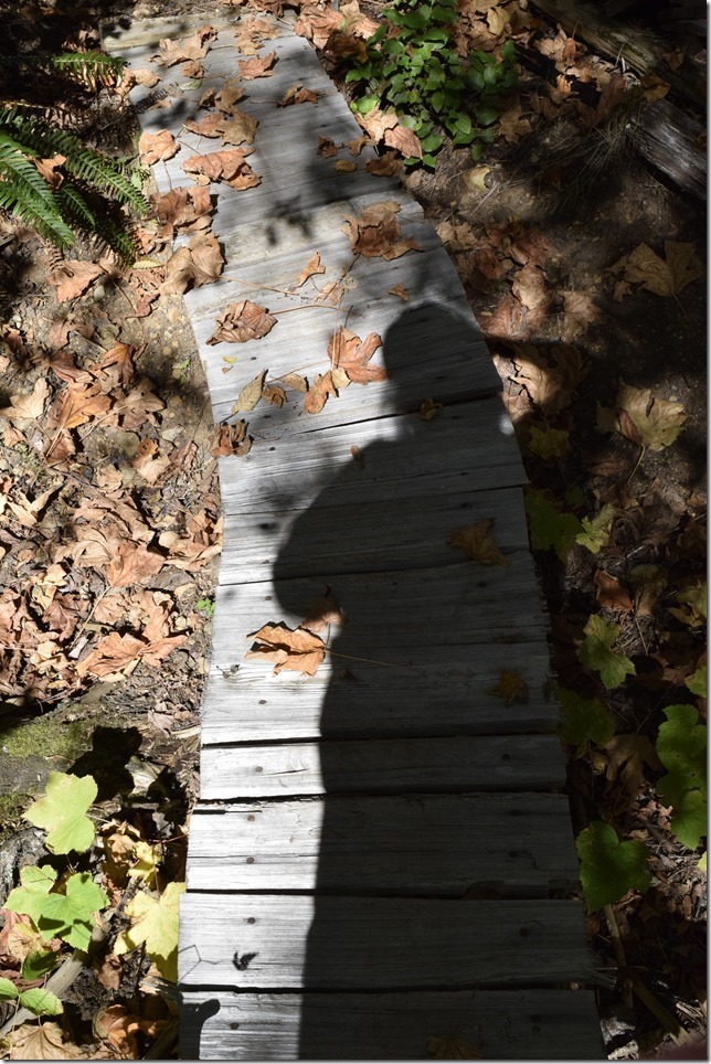 coal mining, Cumberlnad, history, No 5 Mine