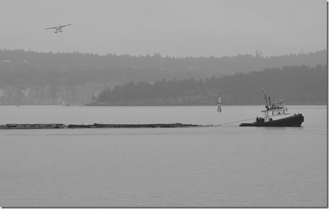 Nanaimo,ships,log boom.tug boat,float plane