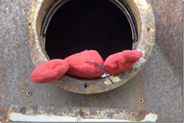 lobster,nature,industrial