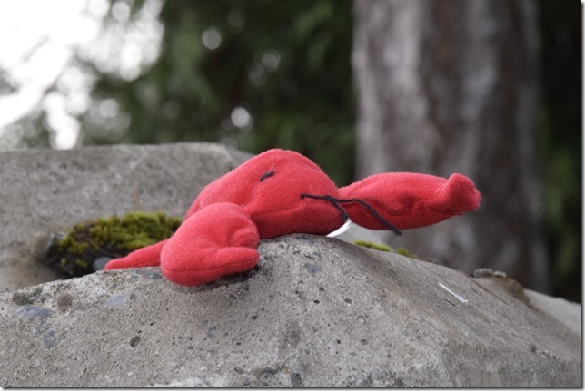 lobster,nature,industrial