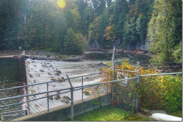 Puntledge Hatchery,salmon