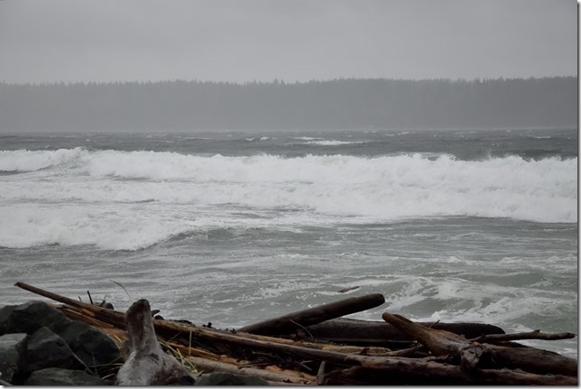 storm,Campbell River,waves,seagull