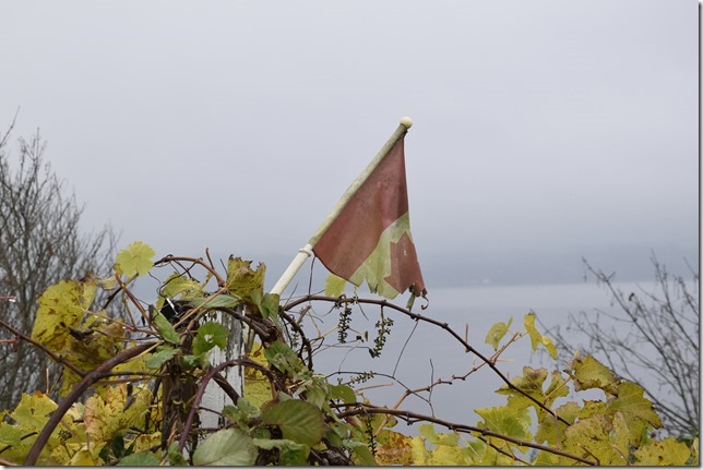 _DSC0030_2471 _DSC0030_2471