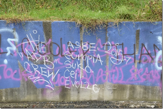 _DSC0036_2474 _DSC0036_2474