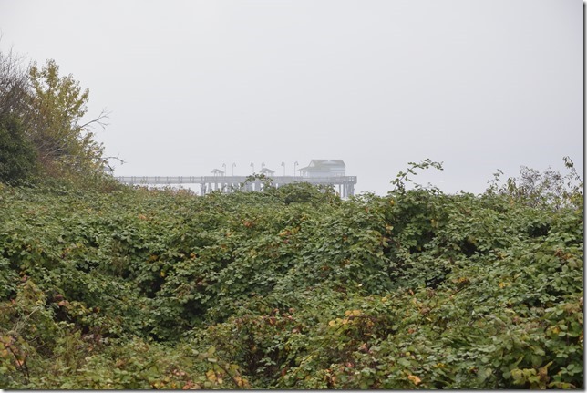 _DSC0037_2475 _DSC0037_2475