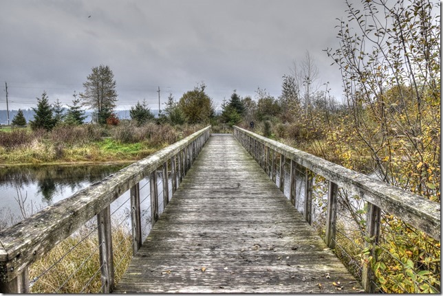 Tyee Spit,nature,bridge,Campbell River