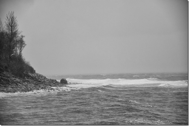 storm,Air Force Beach,waves,arctic outflow