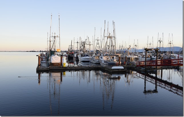 Comox Marina,fish boats