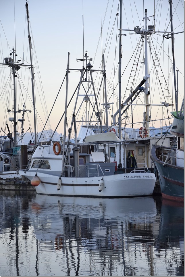 Comox Marina,fish boat,ships,marina,Comox Harbour,Catherine Tamera