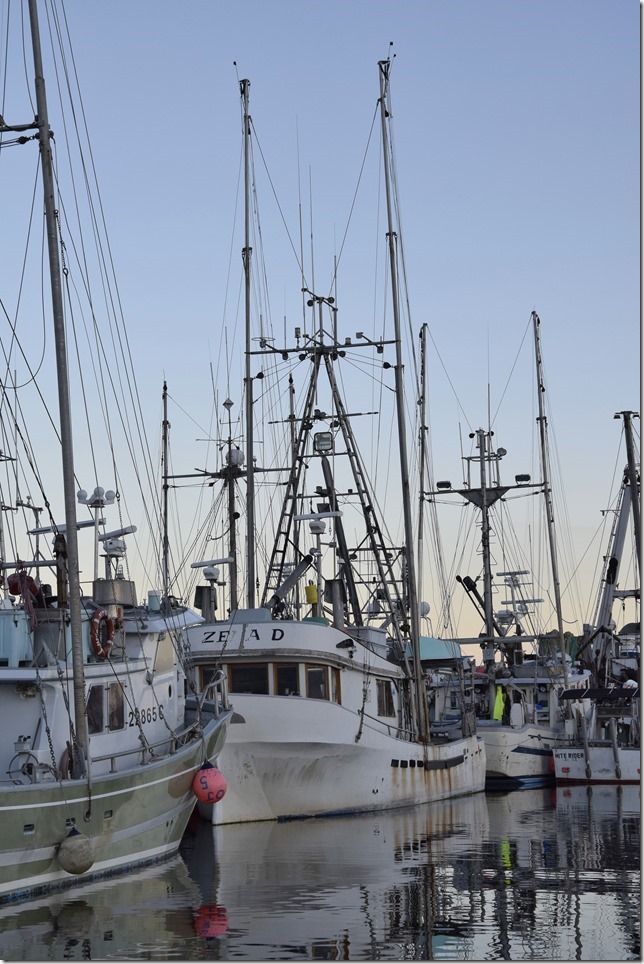 Sunnta II,Comox Marina,fish boat,ships,marina,Comox Harbour,Zena D