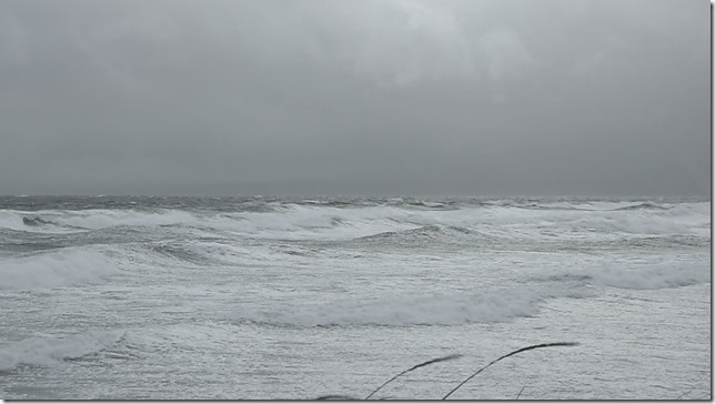waves,storm,Georgia Strait,Point Holmes,Salish Sea
