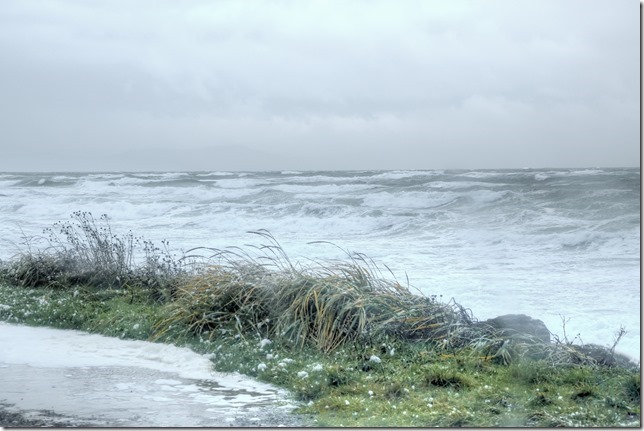 Sea foam,Point Holmes,Georgia Straight,Salish Sea,storm,waves