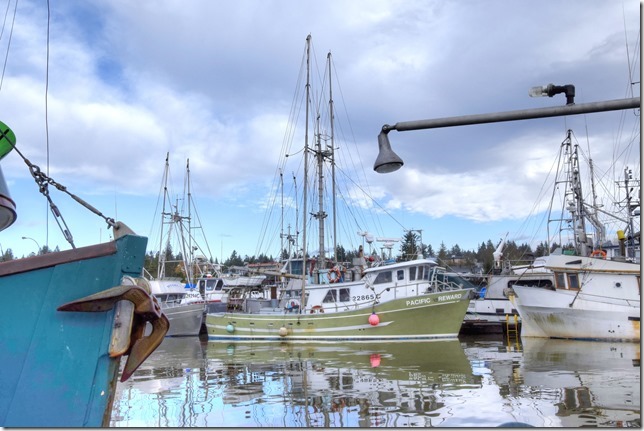 Comox Marina,fish boat,ships,marina,Comox Harbour,Pacific Reward