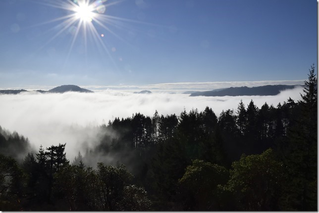 fog,nature,winter,Malahat.Squalley Reach,Saanich Inlet