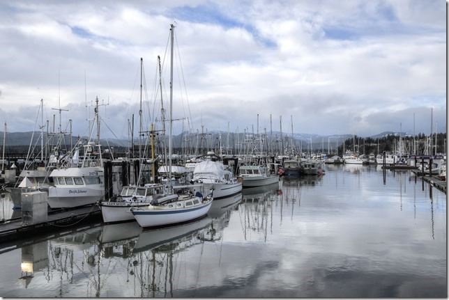 Comox Marina,fish boat,ships,marina,Comox Harbour,Strathcona
