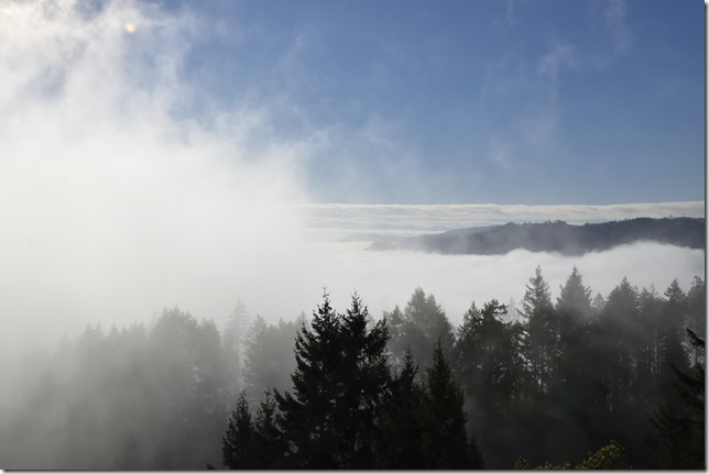 fog,nature,winter,Malahat.Squalley Reach,Saanich Inlet