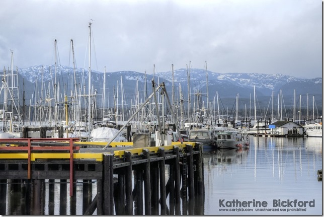 Comox Marina,fish boat,ships,marina,Comox Harbour,mountains