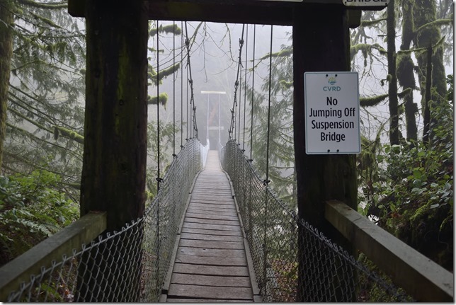 Koksilah River,suspension bridge,Bight Angel Park,Cowichan Valley